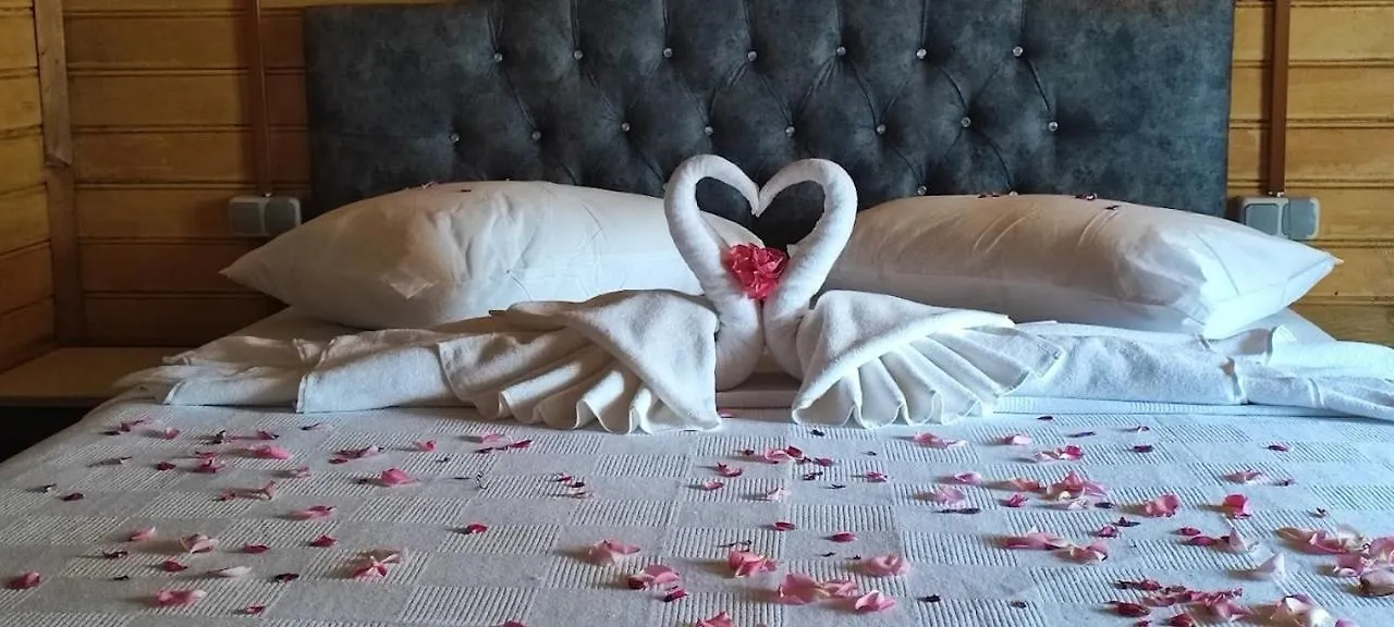 Doga Park Istasyon Hotel Istanbul 0*,  Turkey